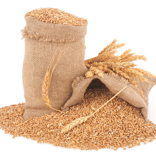 Wheat