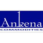 Ankena_logo_asc_international