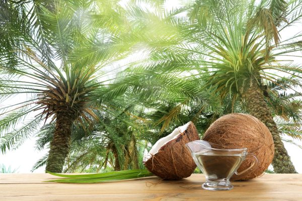 Coconut Oil
