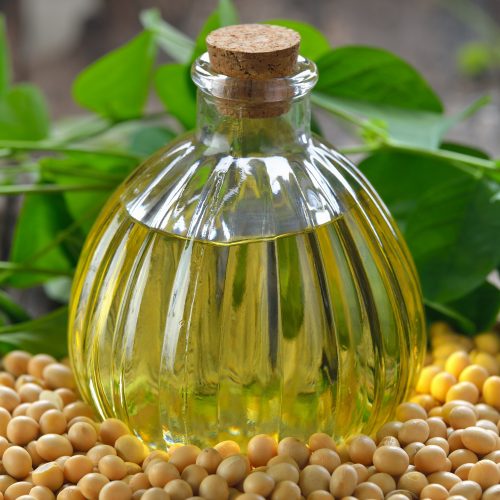 Soybean Oil