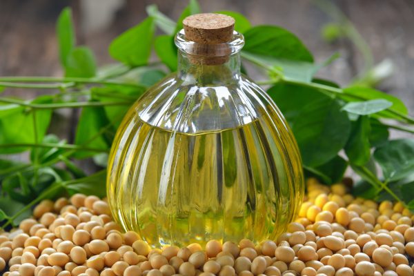 Soybean Oil
