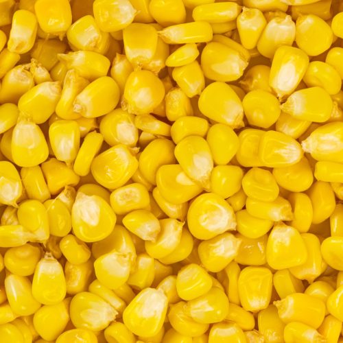 Yellow Corn