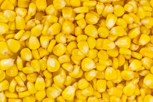 Yellow Corn