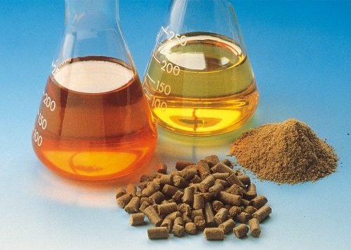 Fish Oil