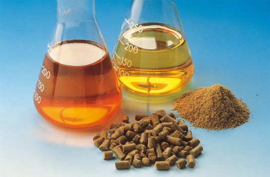 Fish Oil