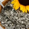 sunflower_seeds Sunflower Oil