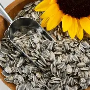 sunflower_seeds Sunflower Oil